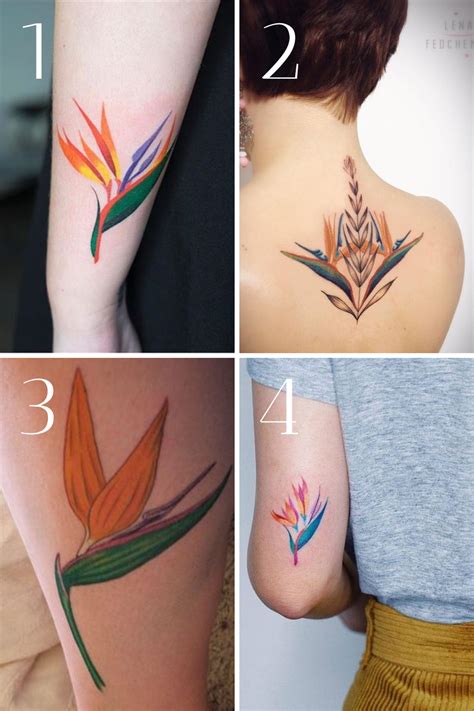 Bird of Paradise Tattoo Designs
