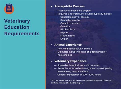 Breaking Down Veterinary Education Requirements St George S University Breaking Down Veterinary Education Requirements St George S University