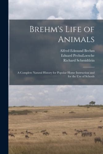 Brehm S Life Of Animals A Complete Natural History For Popular Home Instruction And For The Use Of Schools Mammalia Mammals Animal Behavior Female Wild Cat And Young In The Forests