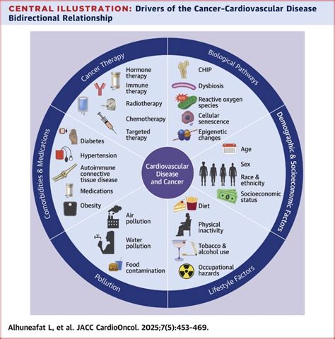 Cancer And Cardiovascular Disease Shared Risk Factors Mechanisms And Clinical Implications Jacc Cardiooncology State Of The Art Review Jacc Cardiooncology Cancer And Cardiovascular Disease Shared Risk Factors Mechanisms And Clinical Implications Jacc Cardiooncology State Of The Art Review Jacc Cardiooncology