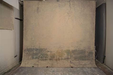 Canvas Backdrop Ideas