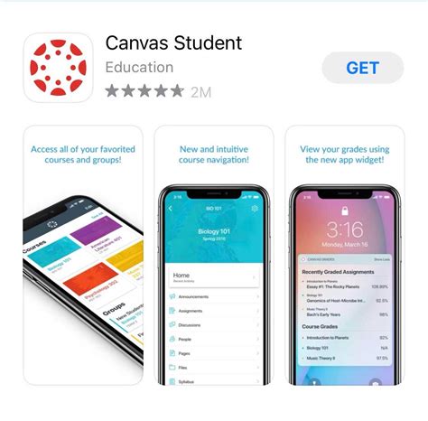 5 Canvas Tips