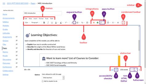 Canvas Rich Content Editor Guide