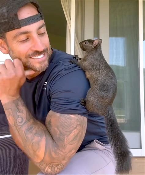 Caretaker Of Peanut The Squirrel Reeling Over Five Hour Raid Of His House Caretaker Of Peanut The Squirrel Reeling Over Five Hour Raid Of His House