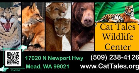 Cat Tales Wildlife Center 2026 All You Must Know Before You Go With Reviews Cat Tales Wildlife Center 2026 All You Must Know Before You Go With Reviews