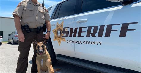 Catoosa Sheriff S Office K 9 Helps Capture Fleeing Suspect News Northwestgeorgianews Com Catoosa Sheriff S Office K 9 Helps Capture Fleeing Suspect News Northwestgeorgianews Com
