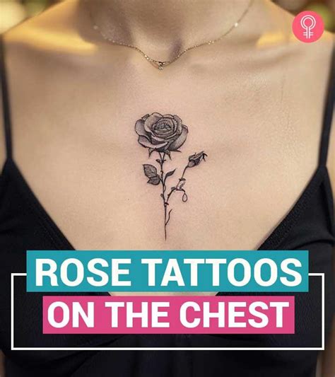Chest Tattoo Of A Rose Chest Tattoo Of A Rose