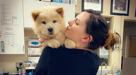 Cost Of Penn Foster Vet Tech Program Cost Of Penn Foster Vet Tech Program