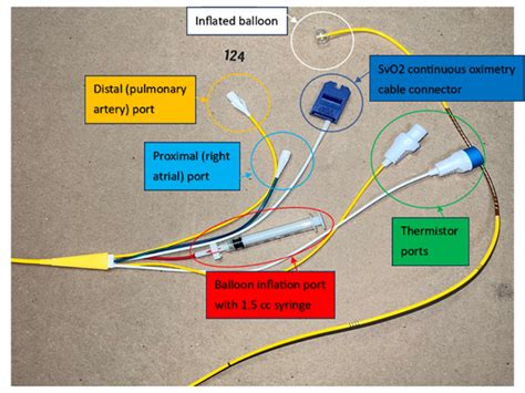 Critical Care Device Series Pulmonary Artery Catheter Part 2 Of 3 Emra Critical Care Device Series Pulmonary Artery Catheter Part 2 Of 3 Emra
