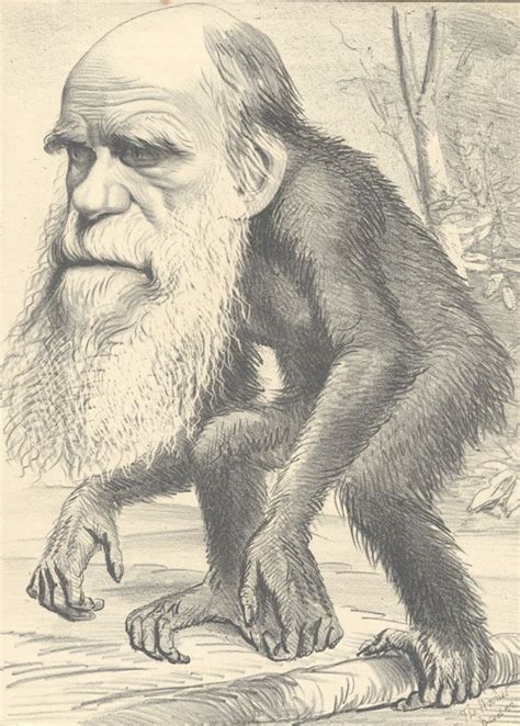 Darwin Online Caricatures Of Evolution Darwin Online Caricatures Of Evolution