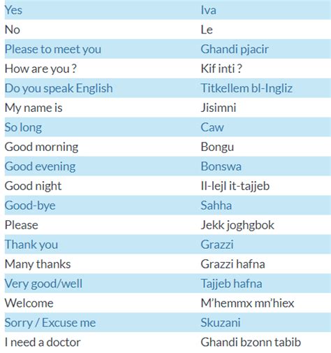 Diagram Of Maltese Basics Quizlet
