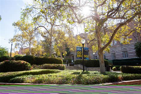 Directory Ucla Alumni