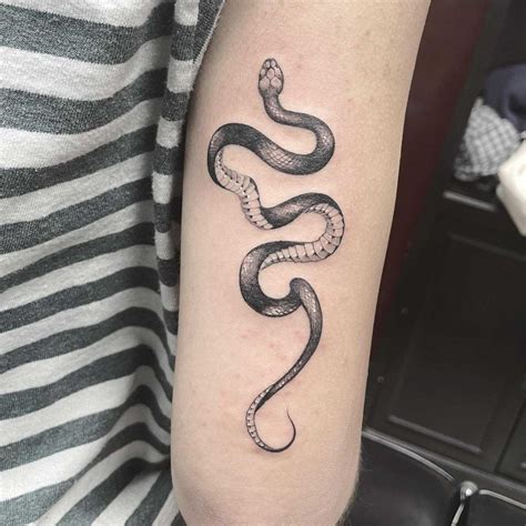 Discover 66 Snake Bite And Snake Tattoo Ideas Snake Tattoo Design Snake Tattoos And More Discover 66 Snake Bite And Snake Tattoo Ideas Snake Tattoo Design Snake Tattoos And More