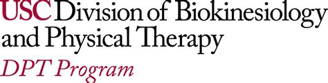 Doctor Of Physical Therapy Dpt Usc Division Of Biokinesiology And Physical Therapy