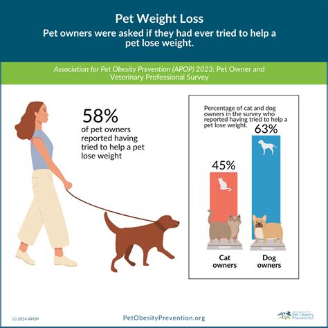 Don T Weight 5 Pet Weight Loss Tips Gentle Touch Animal Hospital Don T Weight 5 Pet Weight Loss Tips Gentle Touch Animal Hospital