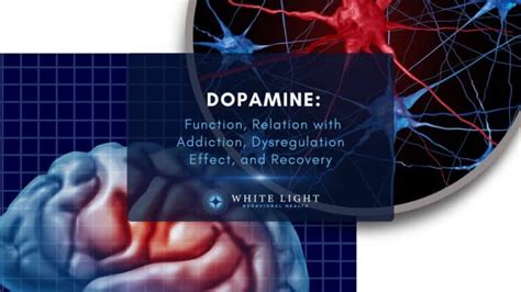 Dopamine Amp Addiction Function Amp Recovery Insights