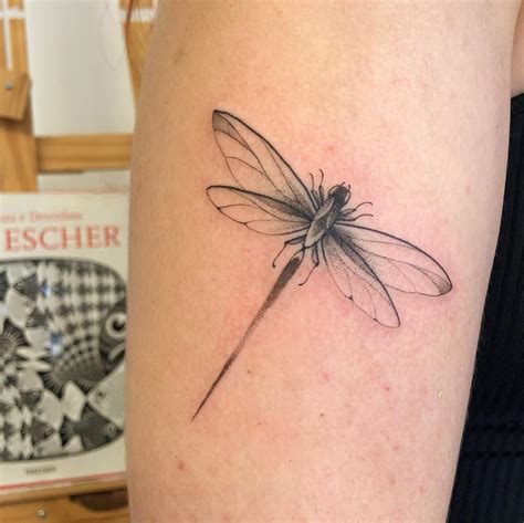 5 Dragonfly Tattoo Designs
