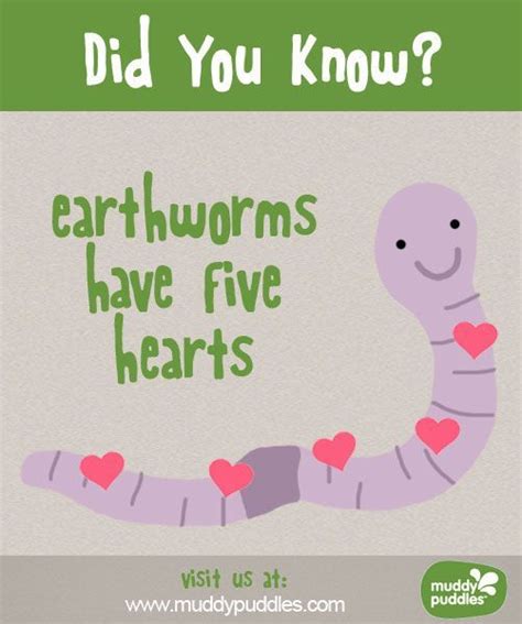 Earthworms Have Five Hearts Funny Cute Valentine S Day Anniversary Or Birthday Card Amazon Co Uk Stationery Office Supplies Earthworms Have Five Hearts Funny Cute Valentine S Day Anniversary Or Birthday Card Amazon Co Uk Stationery Office Supplies
