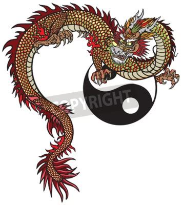 Eastern Dragon And Yin Yang Symbol Tattoo Vector Illustration Wall Stickers Zodiac Yin And Yang Tattoo Myloview Com