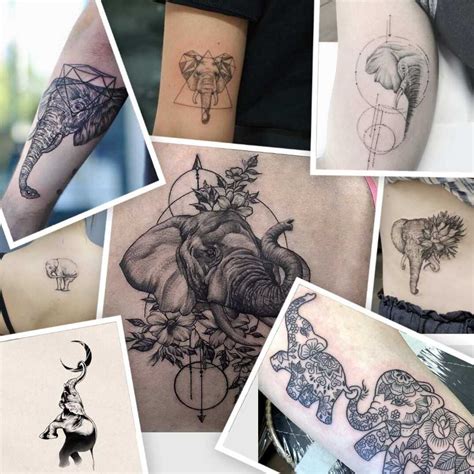 Elephant Tattoo Meaning And Top 50 Ideas Legit Ng Elephant Tattoo Meaning And Top 50 Ideas Legit Ng