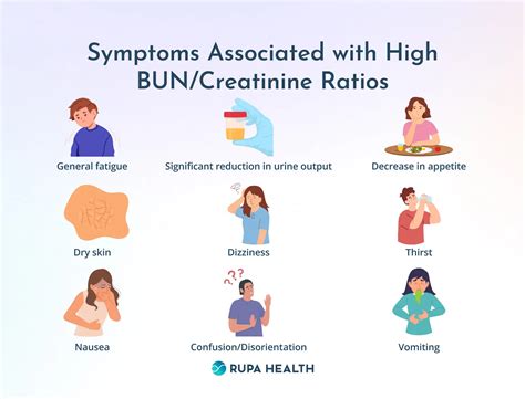 Elevated High Bun Levels Symptoms What You Need To Know About The Warning Signs Los Angeles Hub Elevated High Bun Levels Symptoms What You Need To Know About The Warning Signs Los Angeles Hub