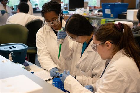 Engineering Summer Academy Program Bold Summers