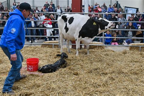 Eventful What To Expect At The 2026 Pennsylvania Farm Show