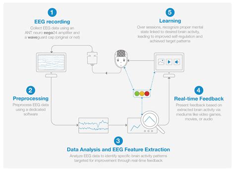 Exploring Eeg Neurofeedback With Brain Maps The Non Invasive Path To Self Regulation Ant Neuro Exploring Eeg Neurofeedback With Brain Maps The Non Invasive Path To Self Regulation Ant Neuro