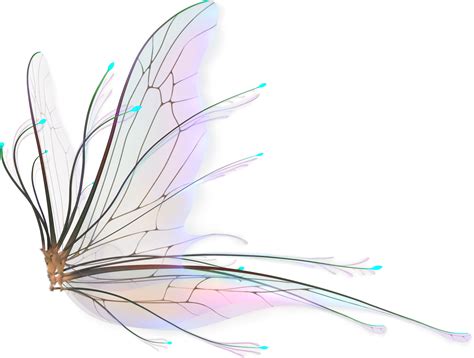 Fairy Wings Png Butterfly Wing Tattoo Design Transparent Png 600X596 Free Download On Nicepng