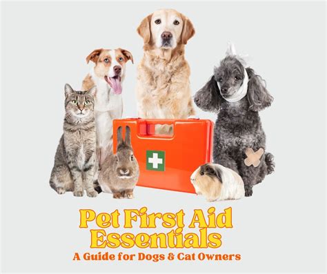 First Aid For Pets A Guide For Pet Owners My Vet Site First Aid For Pets A Guide For Pet Owners My Vet Site