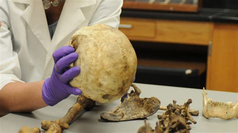 Forensic Anthropologists Work To Identify Human Skeletal Remains And Uncover The Stories Of The Unknown Dead Clemson News Forensic Anthropologists Work To Identify Human Skeletal Remains And Uncover The Stories Of The Unknown Dead Clemson News