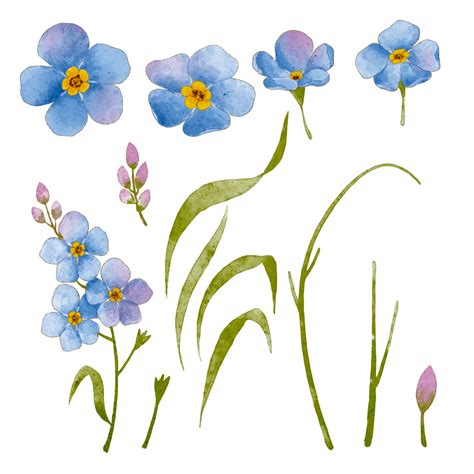 Forget Me Nots I Made A Few Weeks Ago Thanks For Looking Email Connie Lostlagoontattoo Com For Bookings Floraltattoo Colortattoo Illustrative Forgetmenot Forearmtattoo Lostlagoontattoo Woodstockil Chicagoland