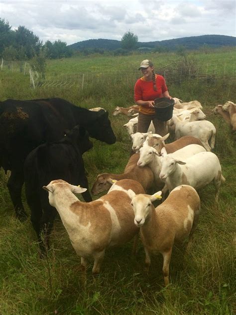 From Dreaming To Doing 5 Tips For Beginning Farmers Cornell Small Farms