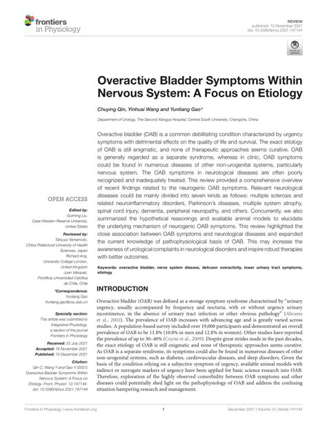 Frontiers Overactive Bladder Symptoms Within Nervous System A Focus On Etiology