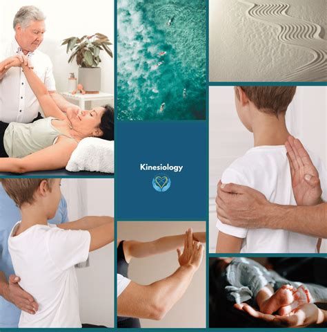 Getting To The Root Our Office Utilizes Applied Kinesiology To Find Your Source Of Dysfunction And Pain What Is Applied Kinesiology Applied Kinesiology Is A Health System That Evaluates The