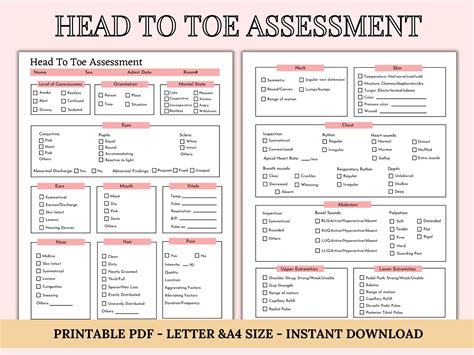 Head To Toe Assessment Checklist For Nursing With Examples Head To Toe Assessment Checklist For Nursing With Examples