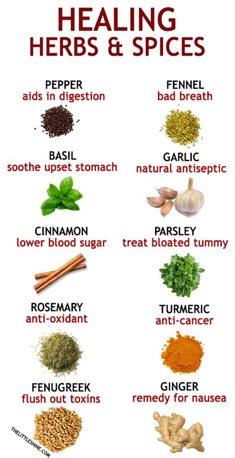 Healing Spices Ways To Heal With Spices From Your Kitchen The Little Shine Herbs For Healing Spices Ways To Heal With Spices From Your Kitchen The Little Shine Herbs For