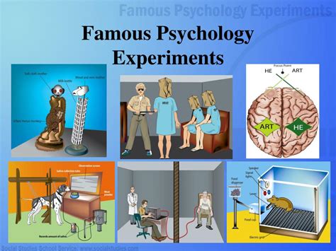 Here Are 5 Classic Psychology Experiments You Must Know For Your Entrance Exams Go Through Each Slide Carefully They Ll Help You Understand The Concepts Better And Handle Application Based Questions With More Confidence