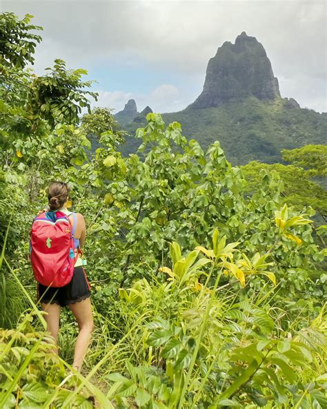 Hikes In Moorea Hi From Ashley Hikes In Moorea Hi From Ashley