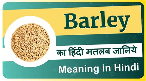 Hindi word for Barley is Jau