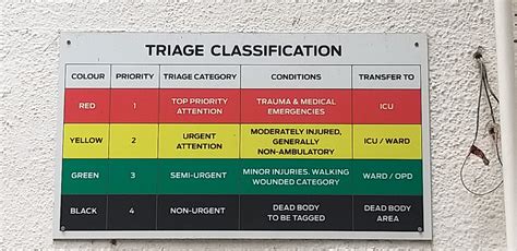 Hospital Discharge Triage Bloom Care Solutions