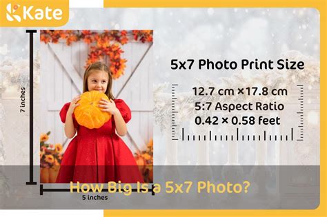 How Big Is A 5X7 Photo Size Guide Amp Editing Tips How Big Is A 5X7 Photo Size Guide Amp Editing Tips