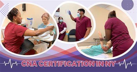 How To Become A Cna In Texas Dreambound How To Become A Cna In Texas Dreambound