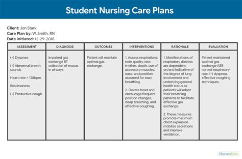 How To Write A Nursing Care Plan Osmosis Blog How To Write A Nursing Care Plan Osmosis Blog
