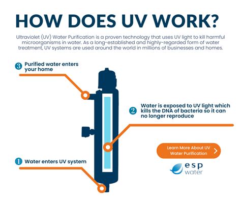 How Ultraviolet Light Works