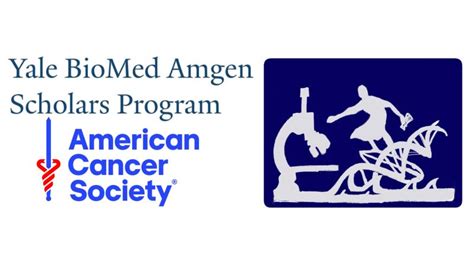 I Am Very Excited To Announce That I Have Accepted An Internship In Pediatric Cancer Research At I Am Very Excited To Announce That I Have Accepted An Internship In Pediatric Cancer Research At