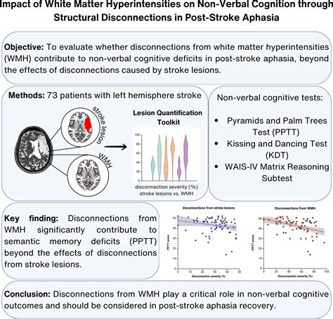 Impact Of White Matter Hyperintensities On Nonverbal Cognition Through Structural Disconnections Impact Of White Matter Hyperintensities On Nonverbal Cognition Through Structural Disconnections