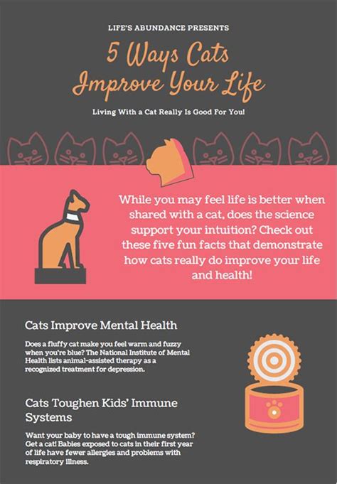 Infographic 5 Ways Cats Improve Your Life Infographic 5 Ways Cats Improve Your Life