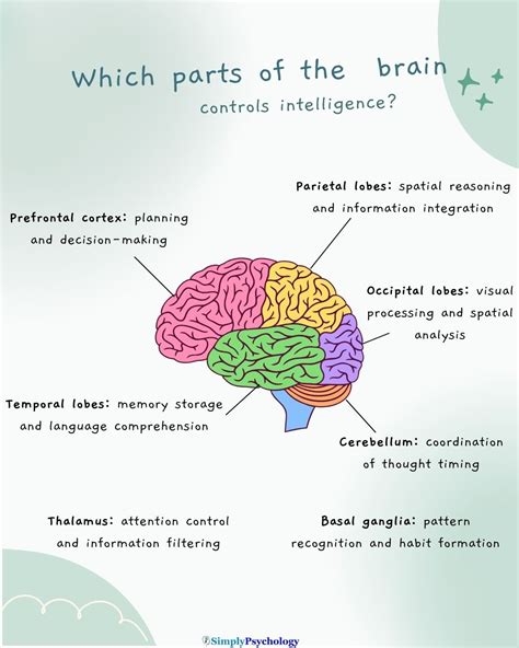 Intelligence Brain Intelligence Brain