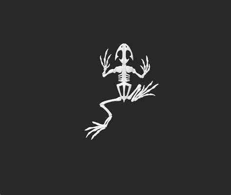 It S Based On The Navy Seal Logo Jimmy Is Definitely A Bit Of A Dinosaur Frog Man It S Based On The Navy Seal Logo Jimmy Is Definitely A Bit Of A Dinosaur Frog Man